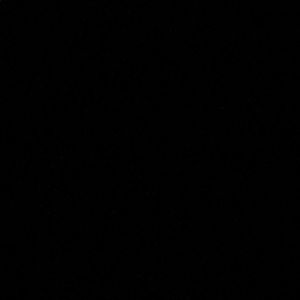 Meet your Posher, Sammy